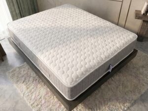 BackCare 3D Ortho Mattress